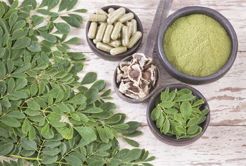 Sticker - Fresh leaves, powder, capsules and moringa seeds - Moringa oleifera