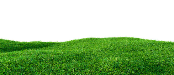 Wall Mural - green grass field on small hills, isolated