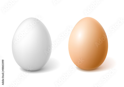 Fotomural Vector realistic chicken brown egg, easter spring