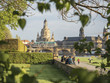 © Lichtbildmanie - grünes Dresden