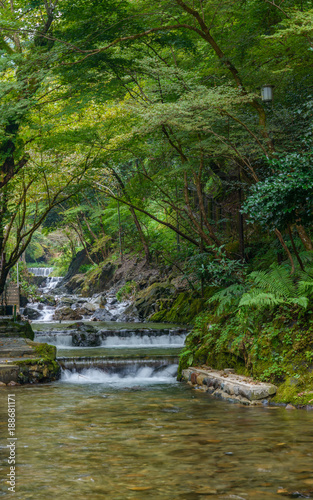 京都 貴船川の清流風景 Stock Photo Adobe Stock