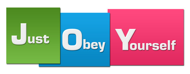 Sticker - JOY - Just Obey Yourself Colorful Stripes 