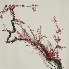  flowering plum branch