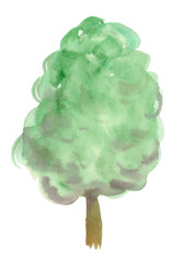 Single big green tree backdrop painted in watercolor on clean white background