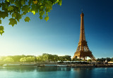 Fototapeta Paryż - Eiffel tower, Paris. France