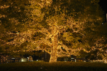 Lamps light on tree : Decorative outdoor string lights hanging on tree in the garden at night time .