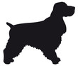 Cocker Spaniel - Vector black dog silhouette isolated