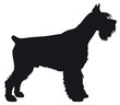 Giant Schnauzer - Vector black dog silhouette isolated