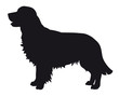 Golden Retriever - Vector black dog silhouette isolated