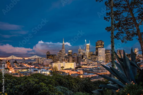Zdjęcie XXL San Francisco z Ina Coolbrith Park