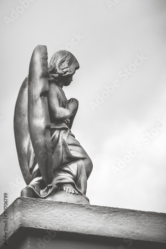 Photographie  estátua de anjo
