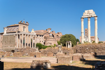 Wall Mural - The ancient Roman Forum in central Rome