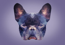 Low Poly Abstract Portrait Of A French Bulldog . Low Polygon