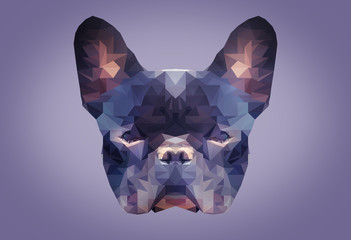 Low poly abstract portrait of a french bulldog . low polygon