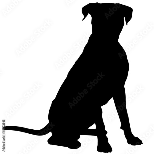 Boxer Dog Silhouette Vector Graphics Stock Vector | Adobe Stock