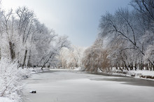 White Winter Landscape With Fresh Snow On Frozen Pond And Trees On The Lakeside