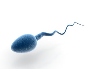 Sperm  on white background. 3d illustration