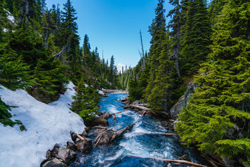 rushing river