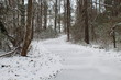 Snow Covered Path in Woods