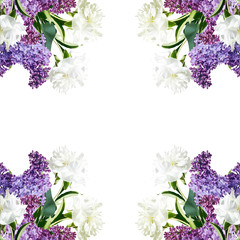  Beautiful floral background from lilac and white peonies 
