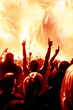 © DWP - Concert Crowd at rock concert