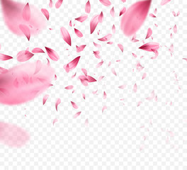 Wall Mural - Pink sakura falling petals background. Vector illustration