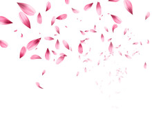 Pink Sakura Falling Petals Background. Vector Illustration