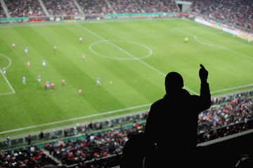 sillhouette of cheering fan in stadium