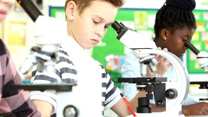 Wall Mural - group of pupils using microscopes in science class