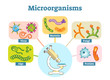 Microorganisms illustration vector set. 