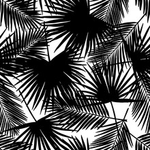 Seamless Floral Pattern With Stylized Fan And Silk Palm Leaves. Jungle Foliage, Black On White Background. Textile Design.