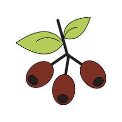 Sticker - Coffee beans plant icon vector illustration graphic design