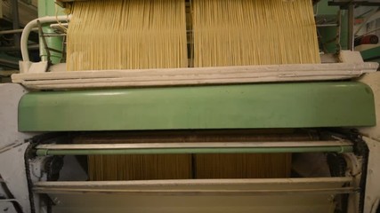 Wall Mural - equipment for pasta or noodle production