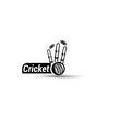 Vector cricket championship wicket