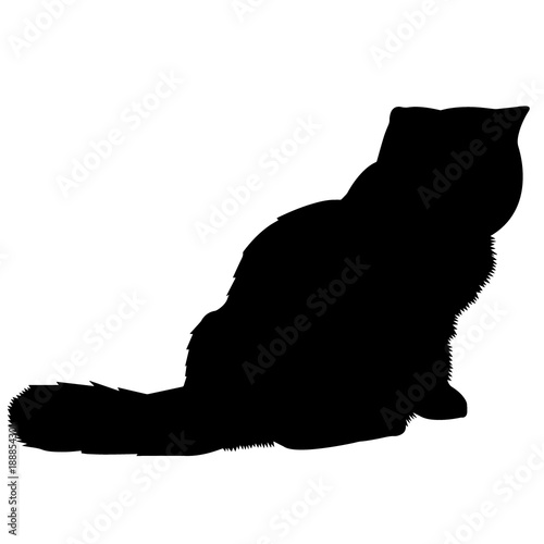 Exotic Shorthair Cat Silhouette Vector Graphics Buy This Stock