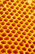 © niyazz - Close up studio shot of authentic organic honey in honeycomb - healthy food