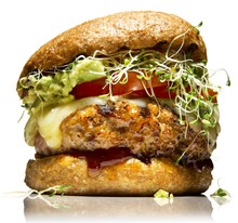 Close Up Of Chicken Patty Burger With Cheese And Alfalfa Sprouts Bun