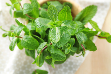 Wall Mural - Fresh lemon balm on table, closeup