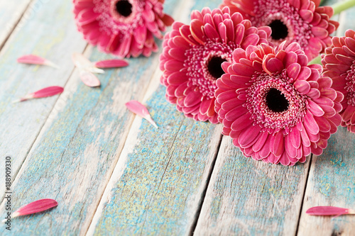 Photographie Deep color bouquet from beautiful gerbera daisy flowers on vintage wooden background