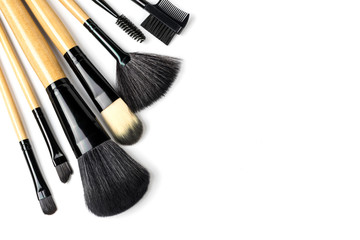 Wall Mural - Various professional makeup brushes isolated