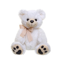 Teddy Bear On A White