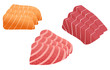 tuna and salmon sashimi vector