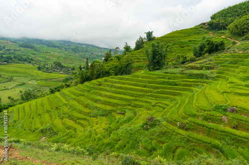 Foto Picturesque hills with layers of green rice terraces