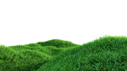 Wall Mural - green grass field on small hills, isolated