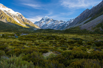  landscape of mt.cook national park, New Zealand