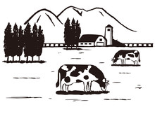 Illustration Of The Farm. / Sketch.