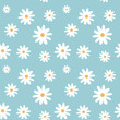chamomile on a light blue color pastel background pattern seamless vector