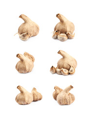 Sticker - Dried garlic bulb isolated