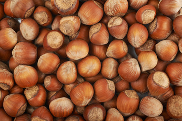 Canvas Print - Surface coated with hazelnuts