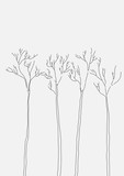 Fototapeta Dmuchawce - Vector. Set of drawn trees background.